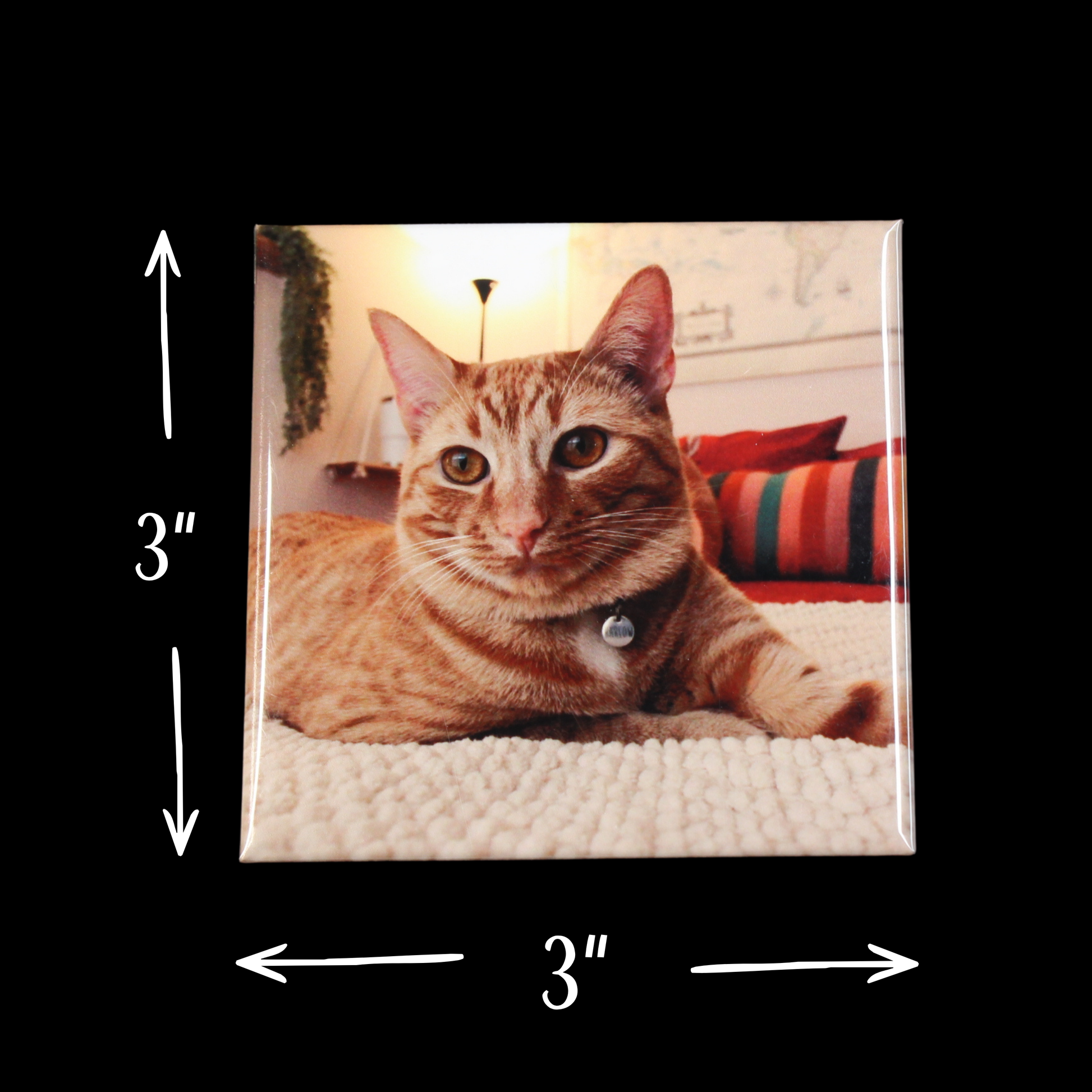 Cat lying on a blanket with dimensions indicated