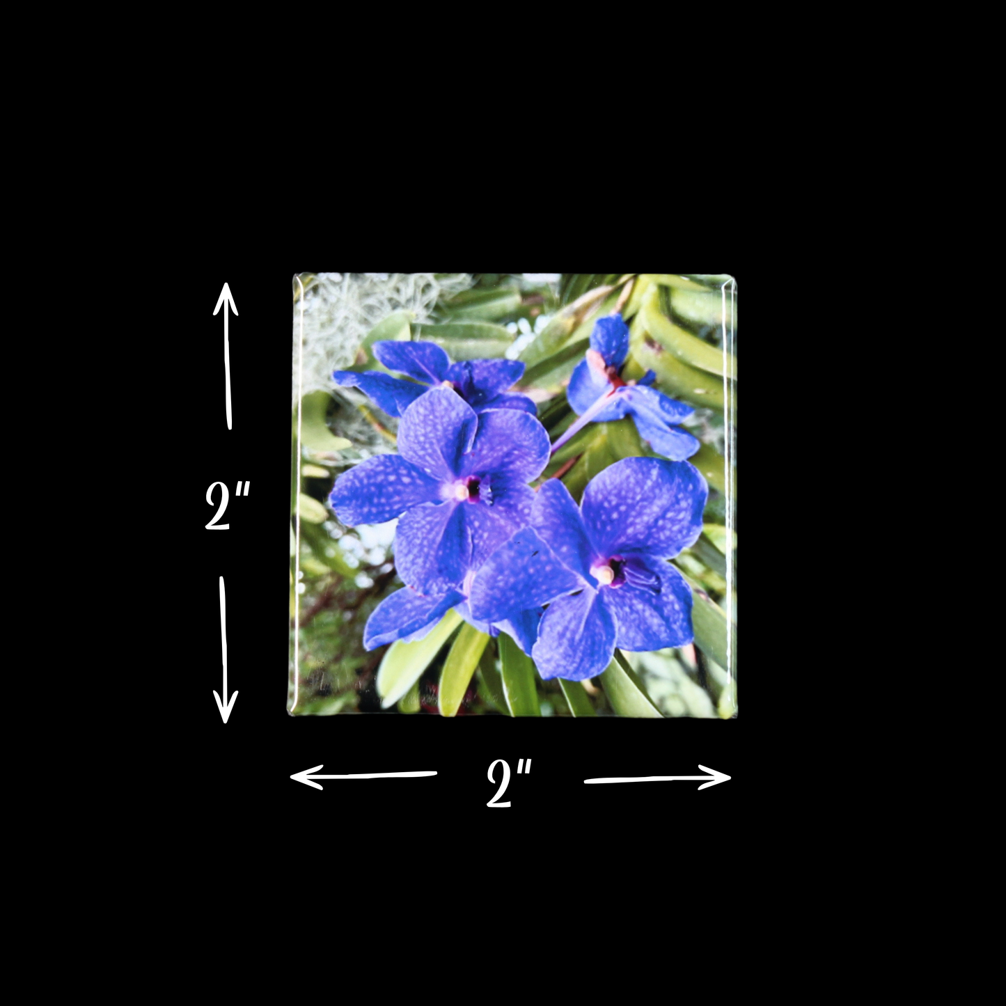 Square tile with blue flowers and dimensions indicated on a black background