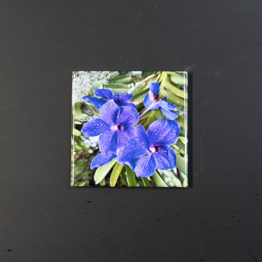 Custom Square Magnet with blue flowers on a dark background