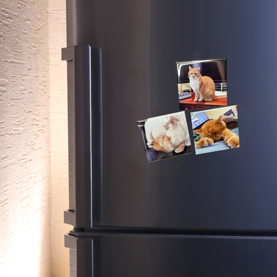 Even our furry family gets a spot.